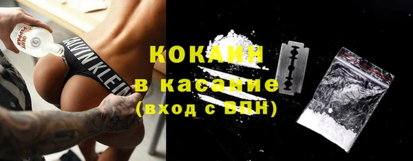 индика Алзамай