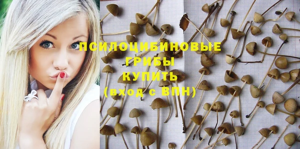 дмт Абинск