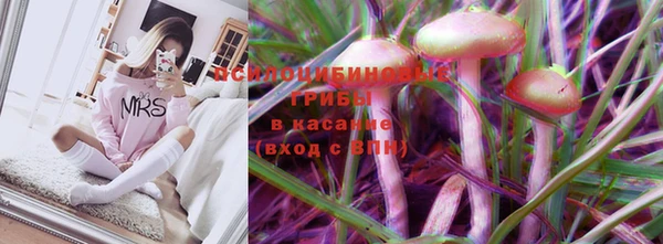МДПВ Алексеевка