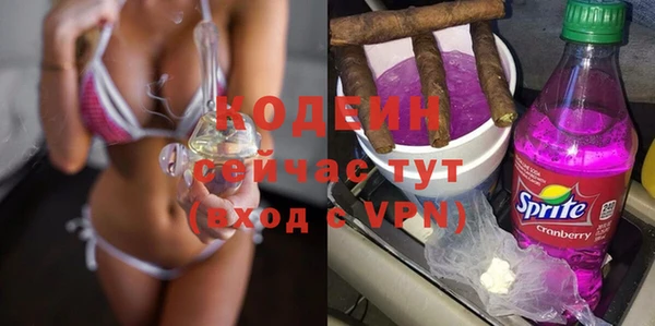 дурь Алексин