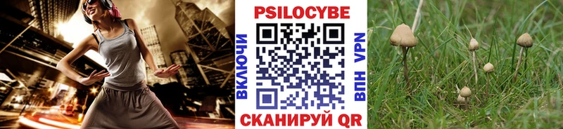 купить закладку  Азов  Галлюциногенные грибы мицелий 